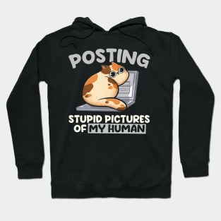 Posting Stupid Pictures of My Human - Cute Funny Cat Gift Hoodie